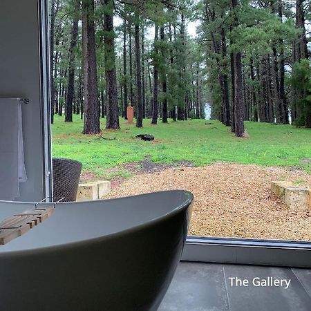 Bella Cosa Villa Mclaren Vale Exterior photo