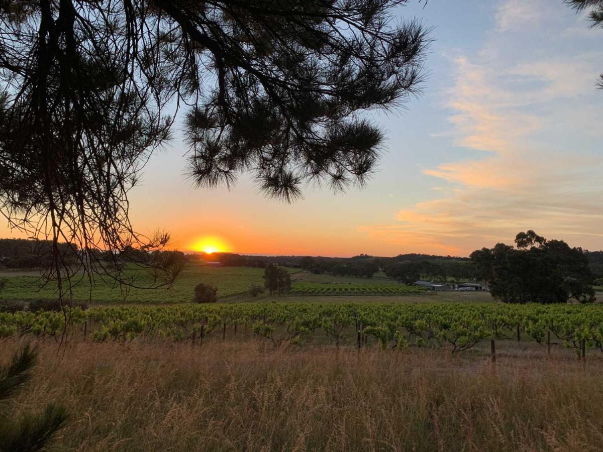 Bella Cosa Villa Mclaren Vale Exterior photo